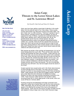 Asian Carp: Threats to the Lower Great Lakes
