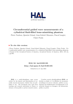Circumferential guided wave measurements of a cylindrical fluid
