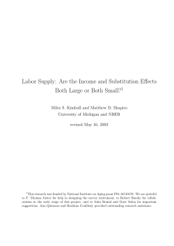 Labor Supply: Are the Income and Substitution Effects Both Large or