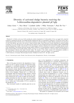Diversity of activated sludge bacteria receiving the 3