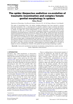 The spider Harpactea sadistica - Proceedings of the Royal Society B