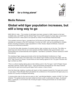 Global wild tiger population increases, but still a long