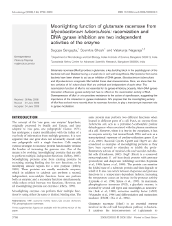 racemization and DNA gyrase inhibition are two inde