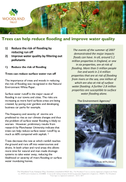 Flooding - The Woodland Trust