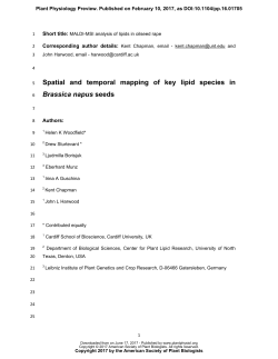Spatial and temporal mapping of key lipid species