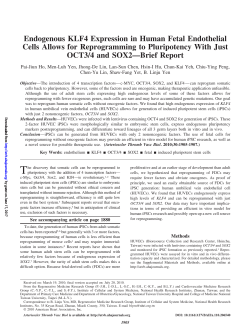 Endogenous KLF4 Expression in Human Fetal Endothelial Cells