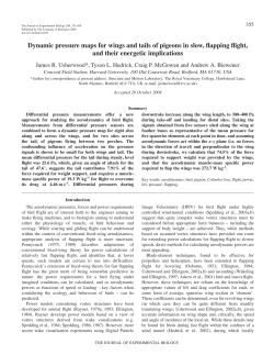 Dynamic pressure maps for wings and tails of pigeons