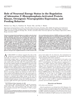 Role of Neuronal Energy Status in the Regulation of Adenosine 5