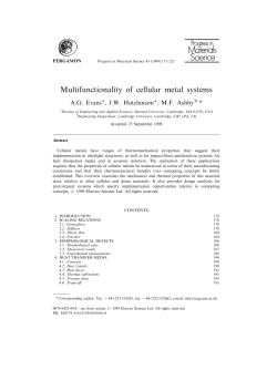 Multifunctionality of cellular metal systems