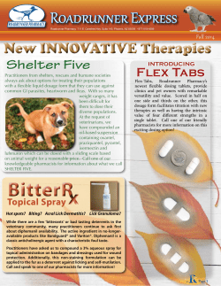 Roadrunner Express Fall 2014 Edition