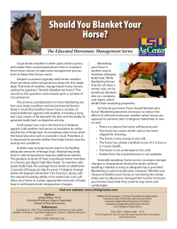 Should You Blanket Your Horse?