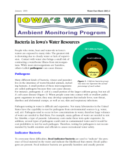 Bacteria in Iowa&rdquo;s Water Resources