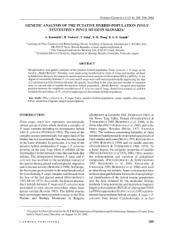 Genetic analysis of the putative hybrid population Pinus sylvestris