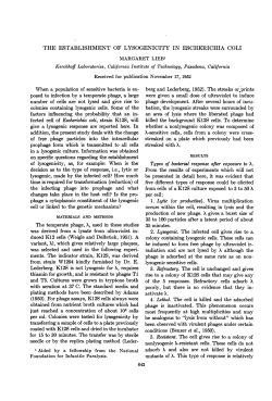 THE ESTABLISHMENT OF LYSOGENICITY IN ESCHERICHIA COLI