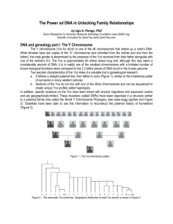 The Power od DNA in Unlocking Family Relationships