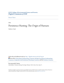 Persistence Hunting: The Origin of Humans