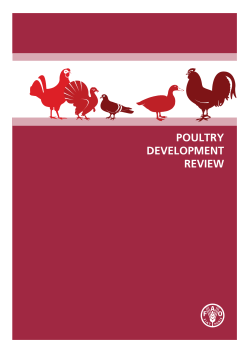 Poultry Development Review - Food and Agriculture Organization of