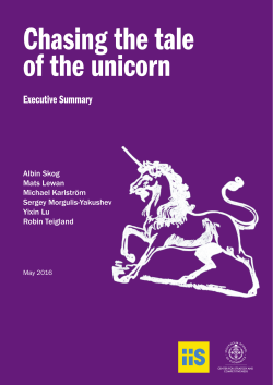 Chasing The Tale of The Unicorn Executive Summary