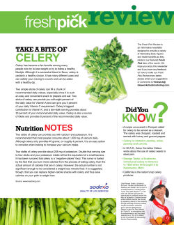 CELERY Know