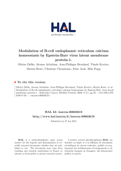 Modulation of B-cell endoplasmic reticulum calcium homeostasis by