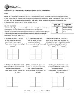 Statistics and Probability