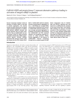 CalDAG-GEFI and protein kinase C represent