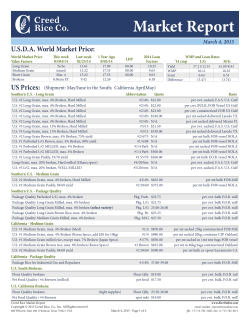 Market Report