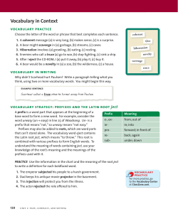 Vocabulary in Context