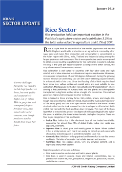 Rice Sector - JCR-VIS