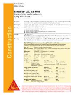 Sikadur® 22, Lo-Mod