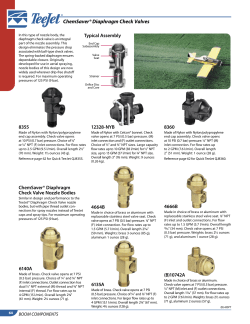 TeeJet ChemSaver Diaphragm Check Valves