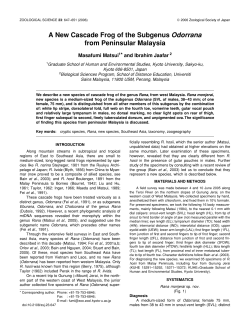 A New Cascade Frog of the Subgenus Odorrana