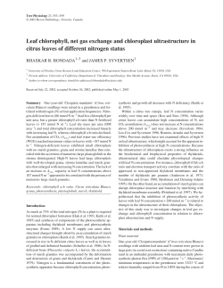 Leaf chlorophyll, net gas exchange and chloroplast ultrastructure in