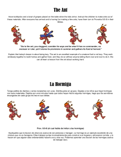 The Ant La Hormiga