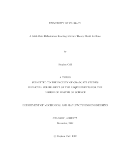 A solid-fluid diffusionless reacting mixture theory model for bone