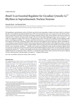 PDF - Journal of Neuroscience