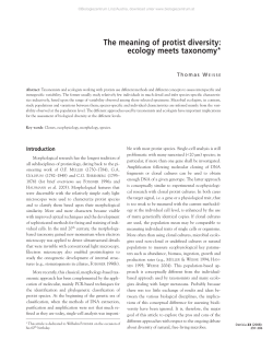 The meaning of protist diversity: ecology meets taxonomy