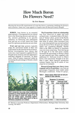 How Much Boron Do Flowers Need?