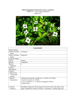 Draft Plant Propagation Protocol