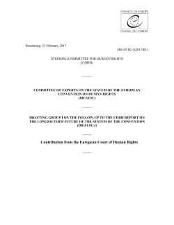 DH-SYSC-I(2017) - Council of Europe