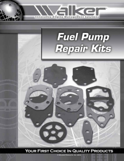 Marine Fuel Pump Repair Kits