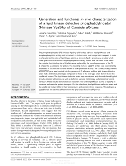 Generation and functional in vivo characterization of a lipid kinase