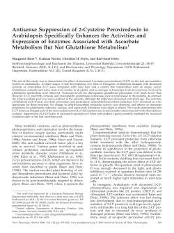 Antisense Suppression of 2-Cysteine Peroxiredoxin in Arabidopsis