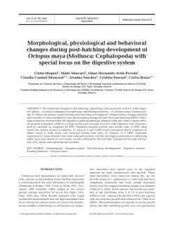 Full text in pdf format