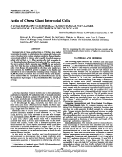 Actin of Chara Giant Internodal Cells
