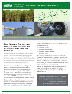 Biochemical Conversion: Using Hydrolysis, Fermentation, and