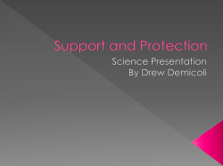 Skeleton Support and Protection