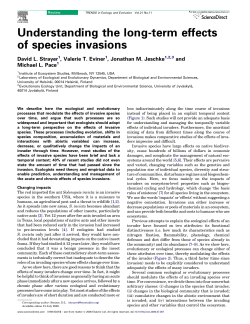 Understanding the long-term effects of species invasions