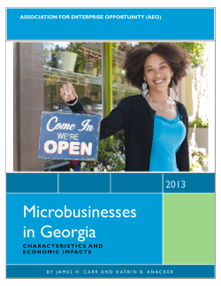 Microbusinesses in Georgia - Association for Enterprise Opportunity