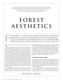 Forest Aesthetics - The Forest History Society